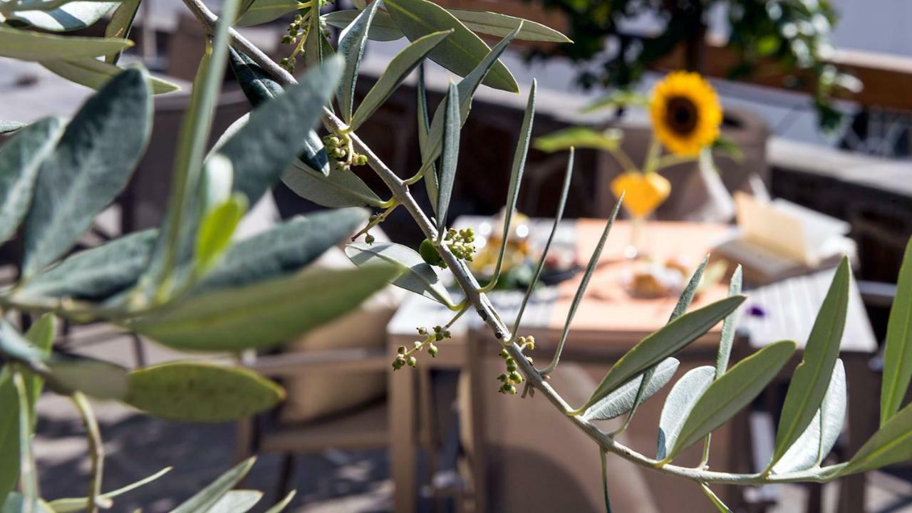 Activehotel Diana Siusi Εξωτερικό φωτογραφία